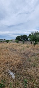image 421761