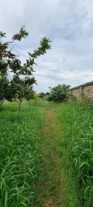 image 421762