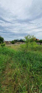 image 421762