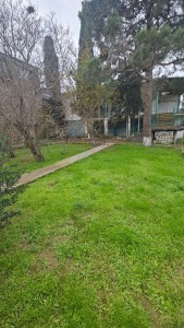 image 421898