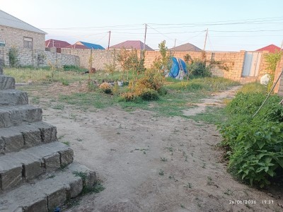 image 421917