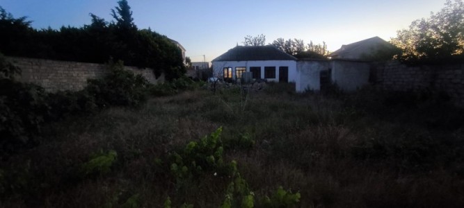 image 422064