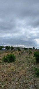 image 422080