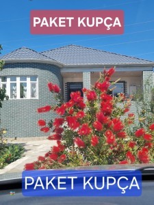 4 sqft həyət / bağ evi