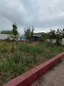 image 422289