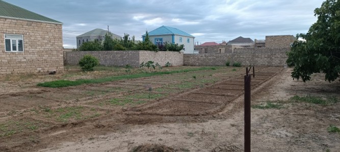 image 422593