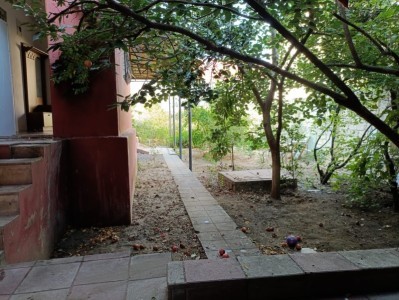 image 422645