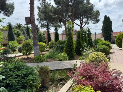 image 422672