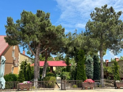 15 sot həyət / bağ evi