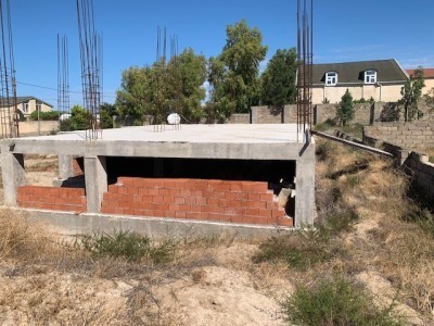 image 422677