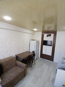 1 otaqlı köhnə tikili