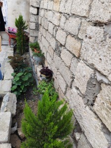image 422788
