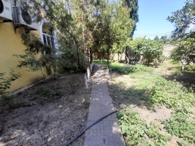 image 422963