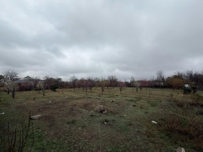 image 423039