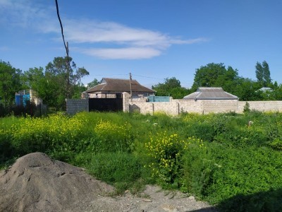 image 423039