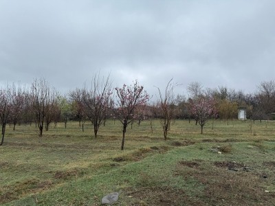 image 423039
