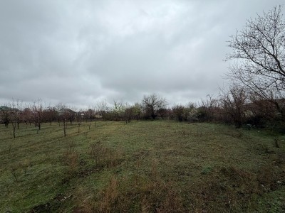 image 423039