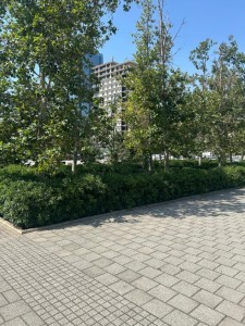 image 423069