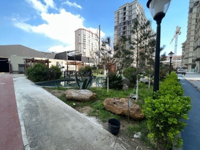 image 423075