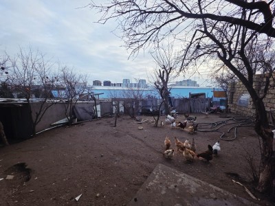 image 423079