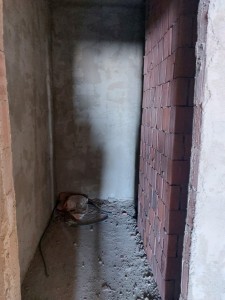 image 423100