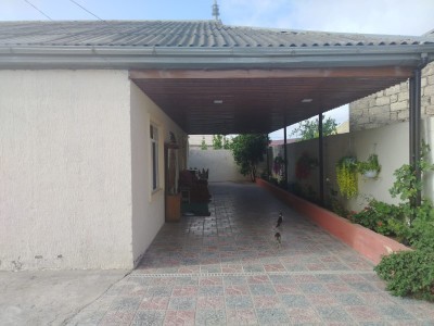 image 423204