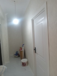 image 423240