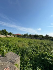 image 423267