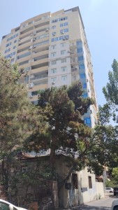 3 otaqlı yeni tikili
