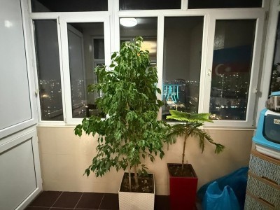 image 423502