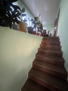 image 423536