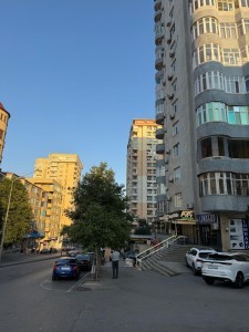 image 423569