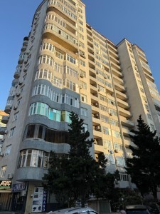 image 423569