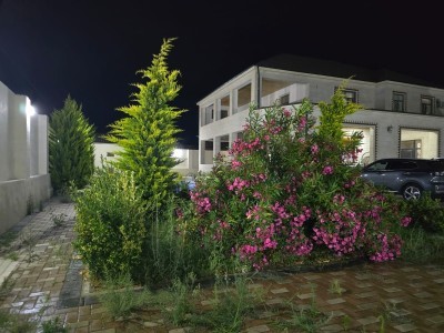 12 sot həyət / bağ evi