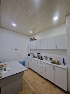 image 423742