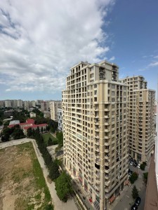 image 423854