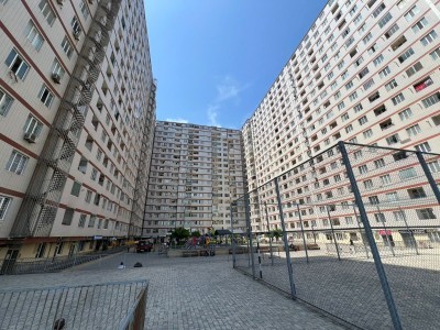 image 423855