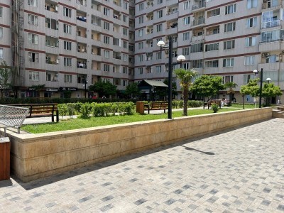 image 423855