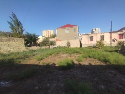 image 423865