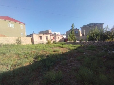 image 423865