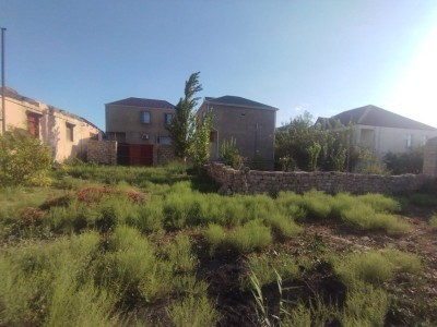 image 423865