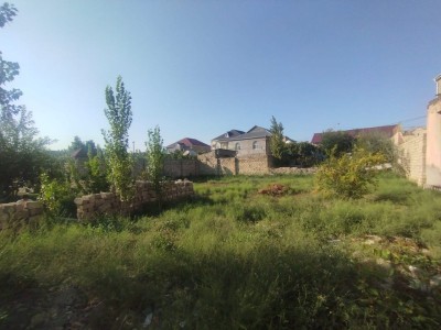 image 423865