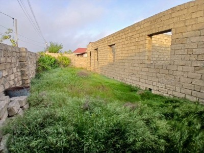 image 423867