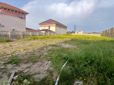 image 423869