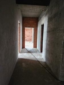 image 423870