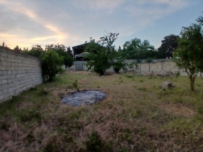 image 423871