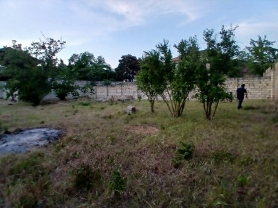 image 423871