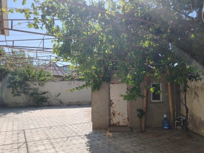 image 423880