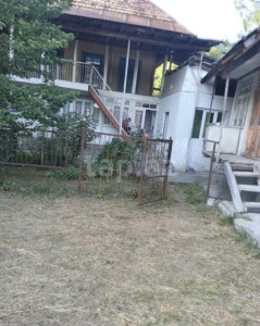 image 423889