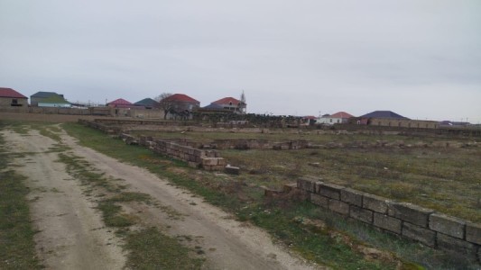 image 423893